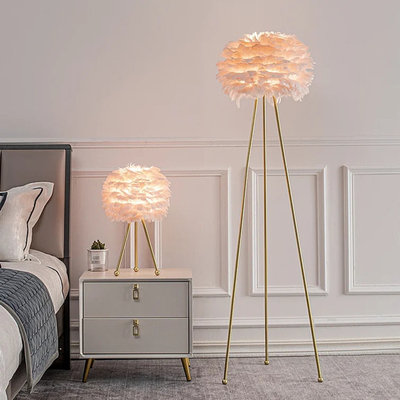 Phòng khách Phòng ngủ Chân đèn bằng kim loại E26 Đèn sàn Lông vũ Trang trí màu hồng