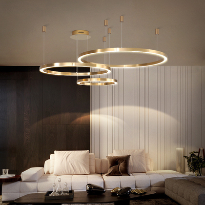 Đèn chiếu sáng kim loại LED hiện đại cho phòng khách Phòng ngủ